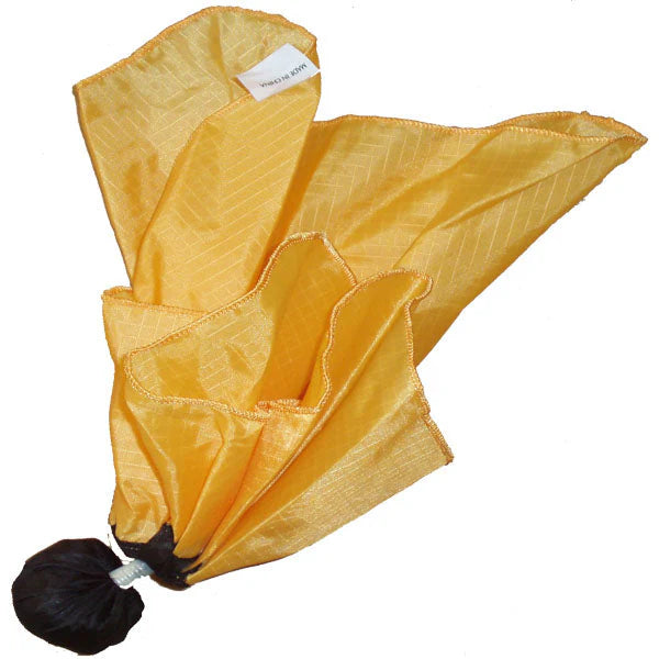 Smitty Penalty Flag